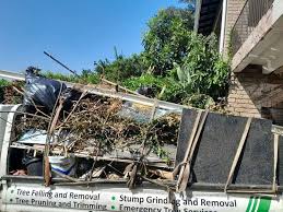 Best Dumpster Rental Services  in Terre Haute, IN
